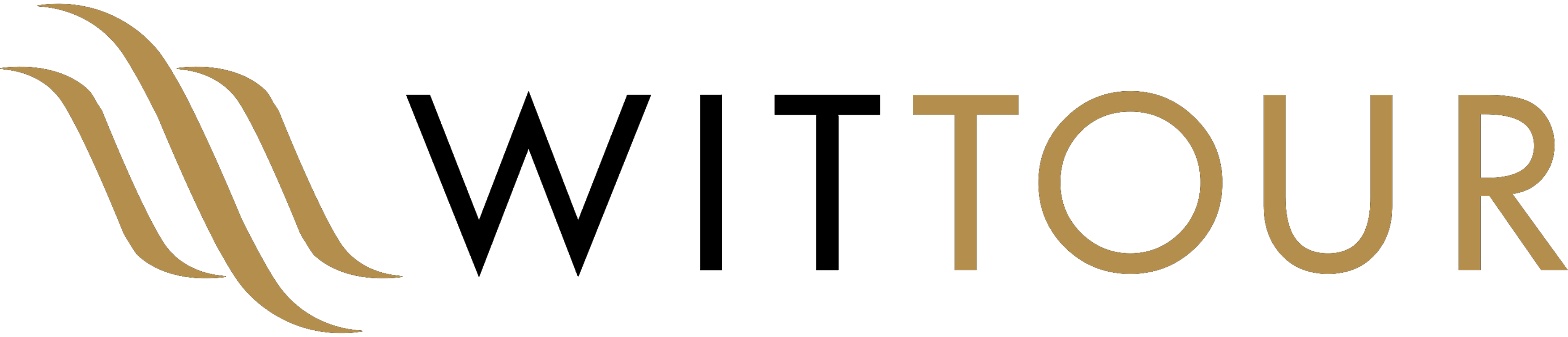 Witt Health