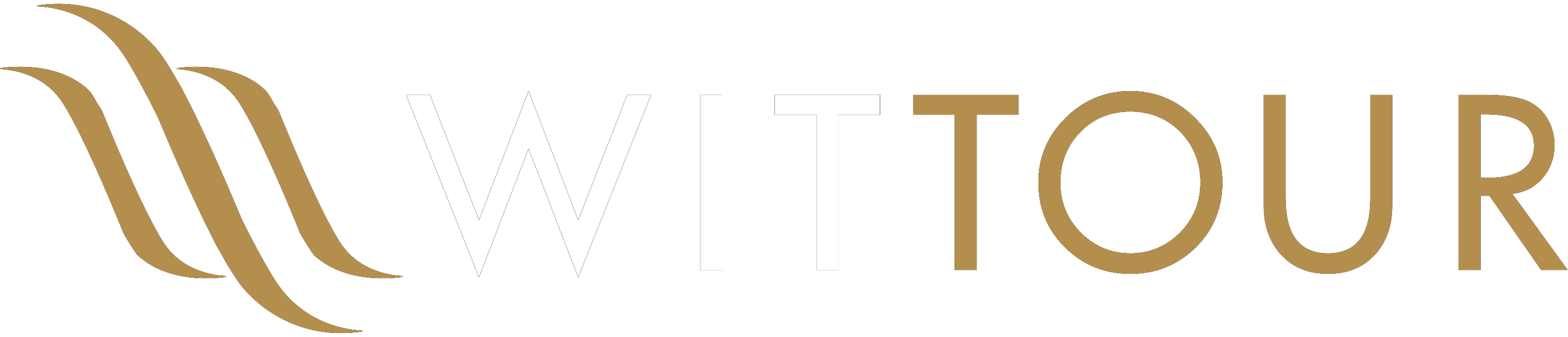 Witt Health